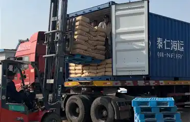Tại sao người mua Hàn Quốc nhập khẩu tinh bột khoai lang từ Lulong? Nhìn lại quy trình bốc hàng và vận chuyển tại ngành khoai tây Tongyou