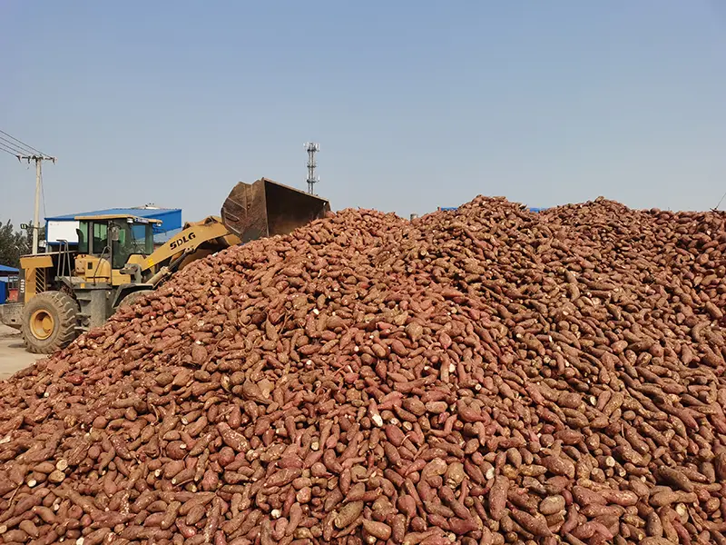 170g Bag Sweet Potato Glass Noodles